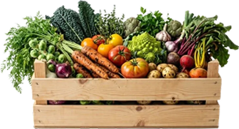 Gajbica puna svježeg domaćeg povrća